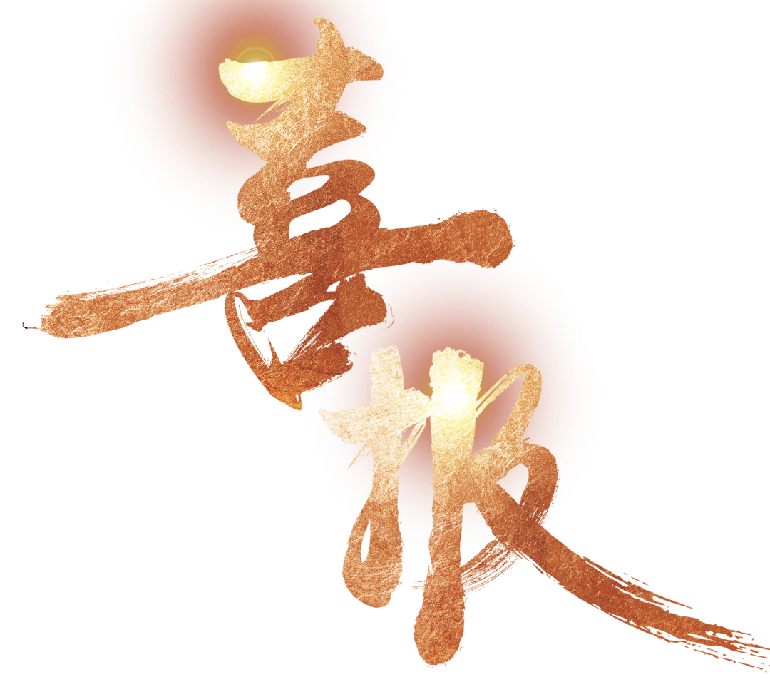 【中標喜訊】鑫飛鵬喜中標 全力以赴創(chuàng)新高！